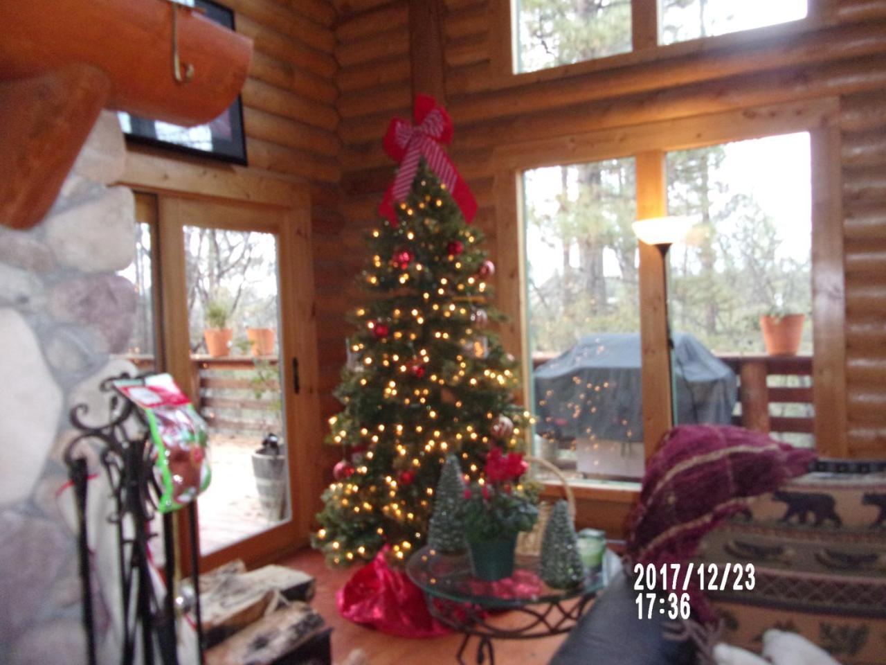 The Cub Inn B&B Groveland Bagian luar foto
