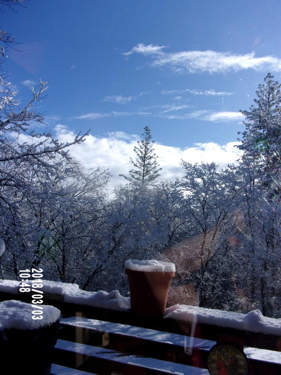 The Cub Inn B&B Groveland Bagian luar foto