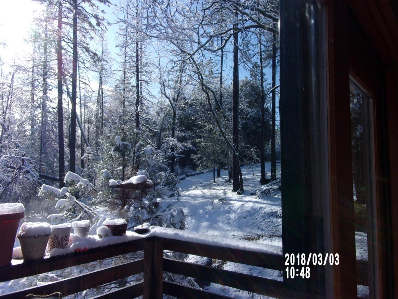 The Cub Inn B&B Groveland Bagian luar foto