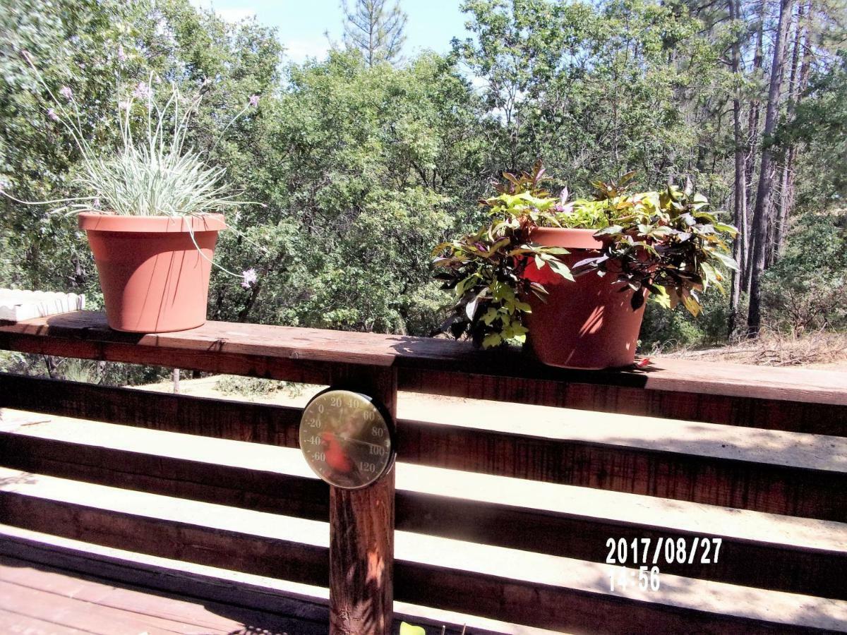The Cub Inn B&B Groveland Bagian luar foto